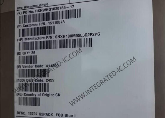 SNXH100M95L3Q2F2PG وحدات IGBT للسيارات وحدات IGBT المتكاملة عالية الكثافة